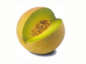 Дыня сорта Galia