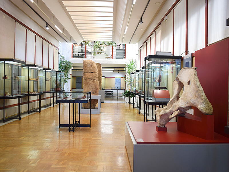 Нумантийский музей
