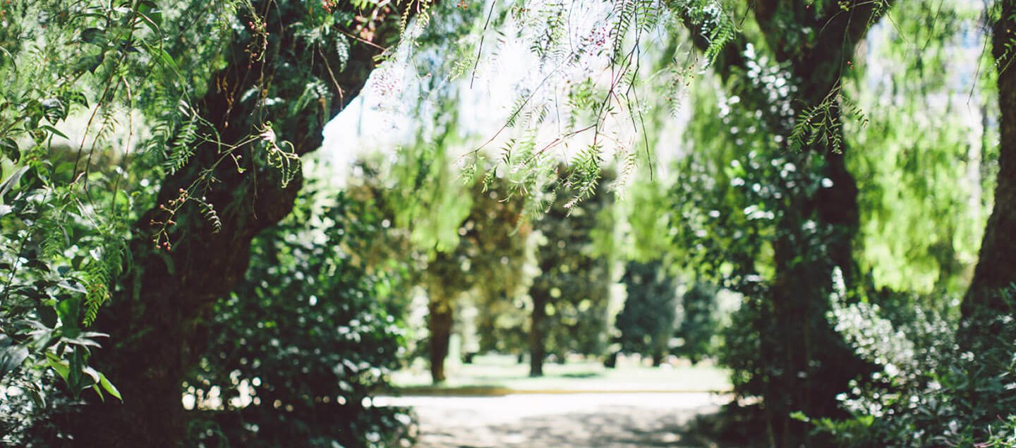 Turo Park Барселона