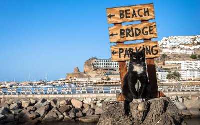 Города Испании