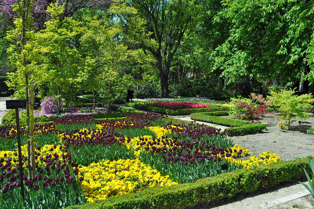 Королевский Ботанический сад в Мадриде