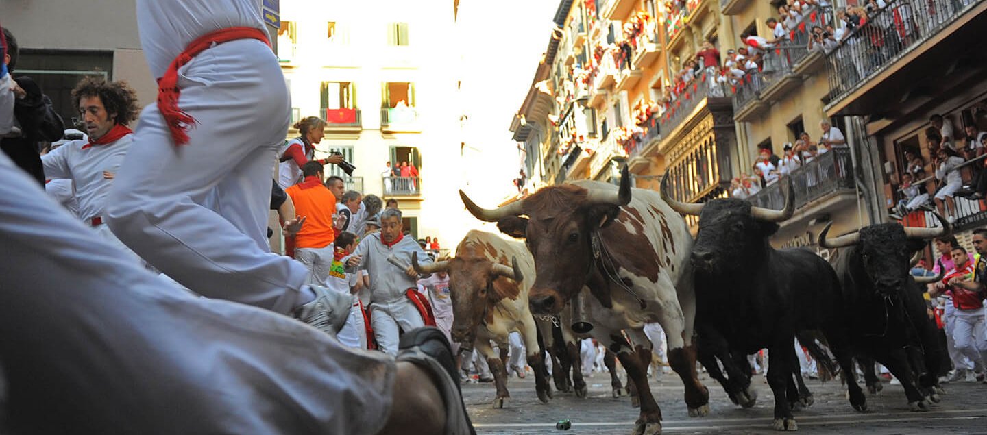 Забег быков